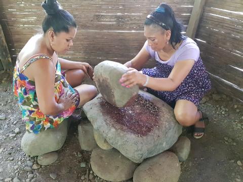 Bribri Medicinal Plants and Chocolate Tour